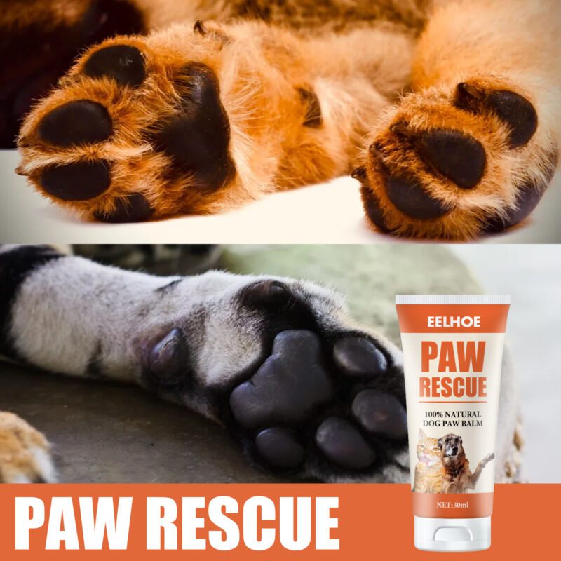 Yegbong Pet Paw Cream for Cats & Dogs - Nourishing Soles & Pads - Image 2