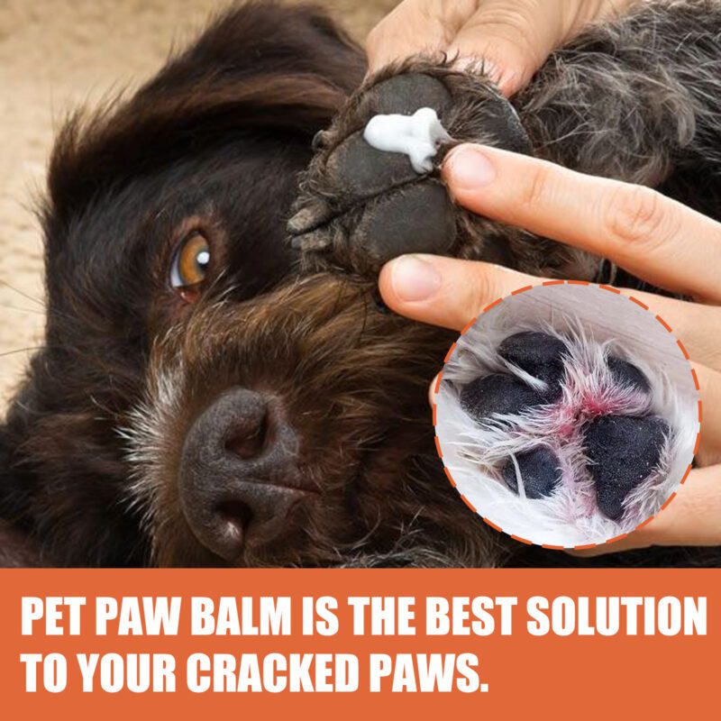 Yegbong Pet Paw Cream for Cats & Dogs - Nourishing Soles & Pads - Image 4