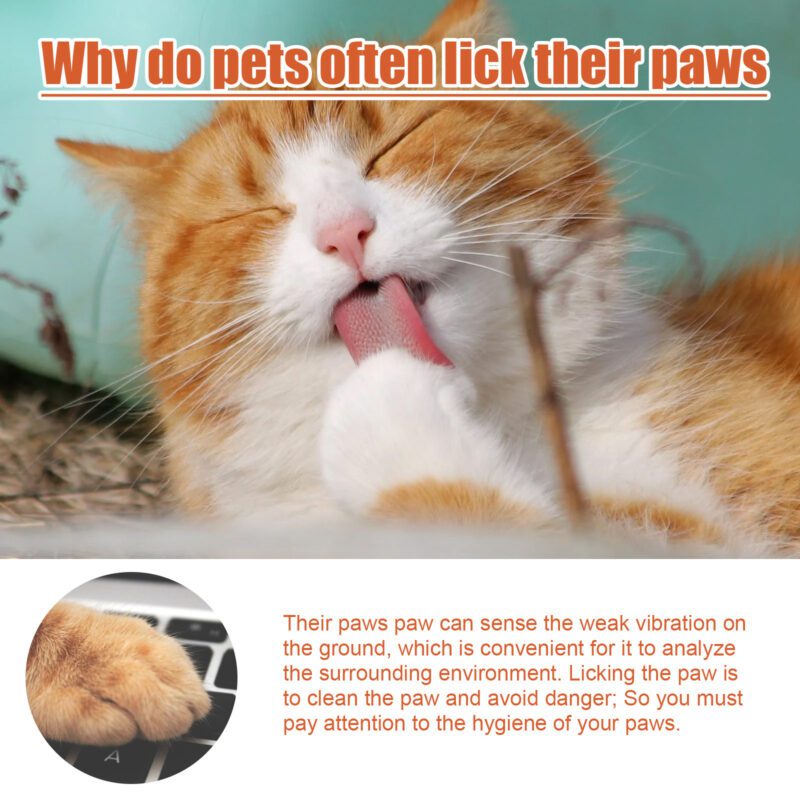 Yegbong Pet Paw Cream for Cats & Dogs - Nourishing Soles & Pads - Image 5