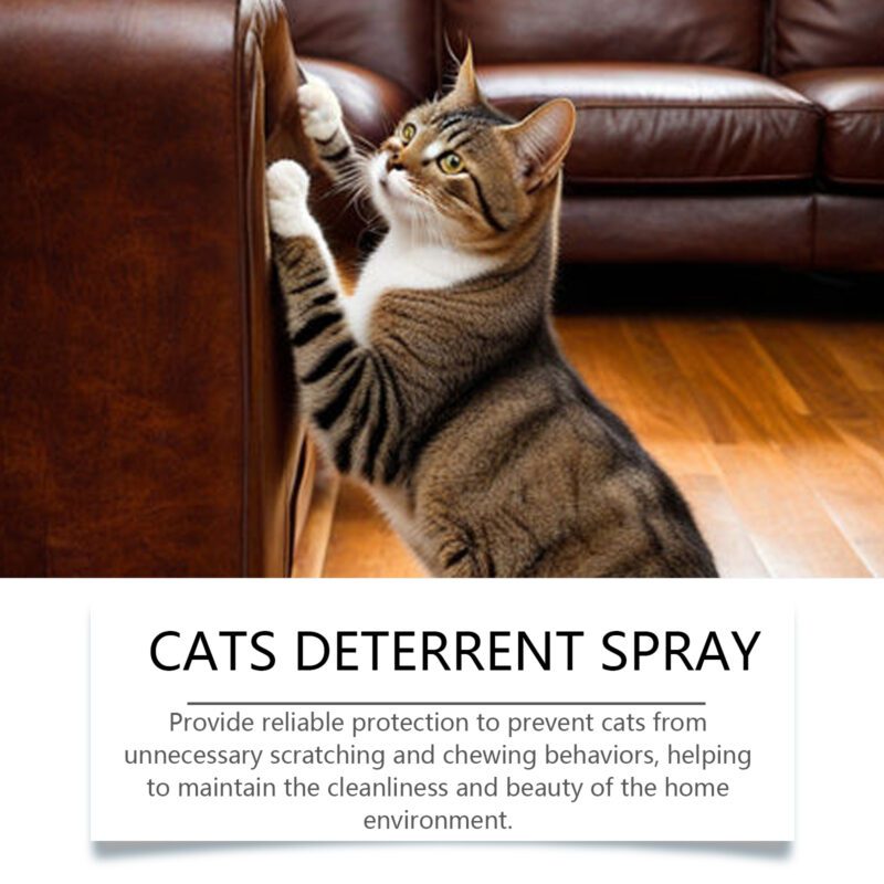 Yegbong Cat Urine Deterrent Spray - Gentle Formula to Stop Cats from Peeing on Bed - Image 3
