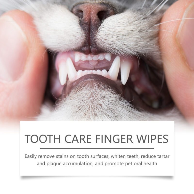 Yegbong Cat Dog Tooth Wipes: Tartar Removal, Teeth Cleaning, Fresh Breath - Image 4