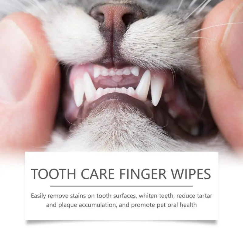 Yegbong Cat Dog Tooth Wipes: Tartar Removal, Teeth Cleaning, Fresh Breath - Image 4