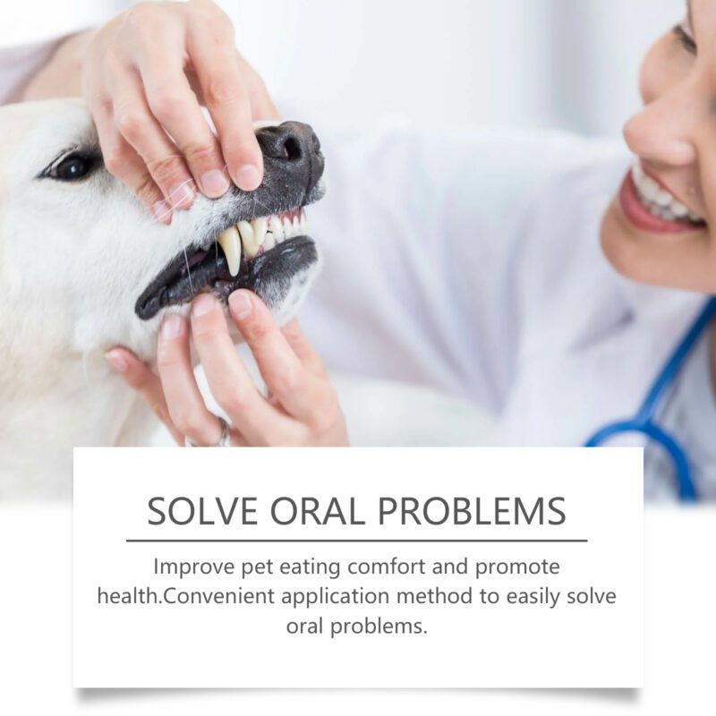 Yegbong Pet Oral Repair Gel - Tooth Stain Remover for Yellow Teeth, Daily Dental Care - Image 4