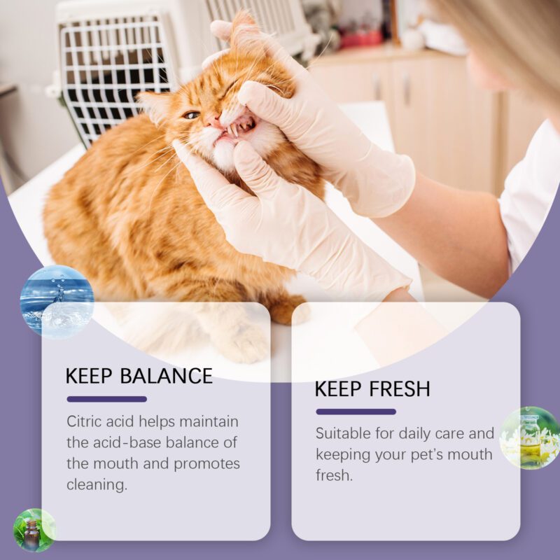 Yegbong Pet Oral Repair Gel - Tooth Stain Remover for Yellow Teeth, Daily Dental Care - Image 3