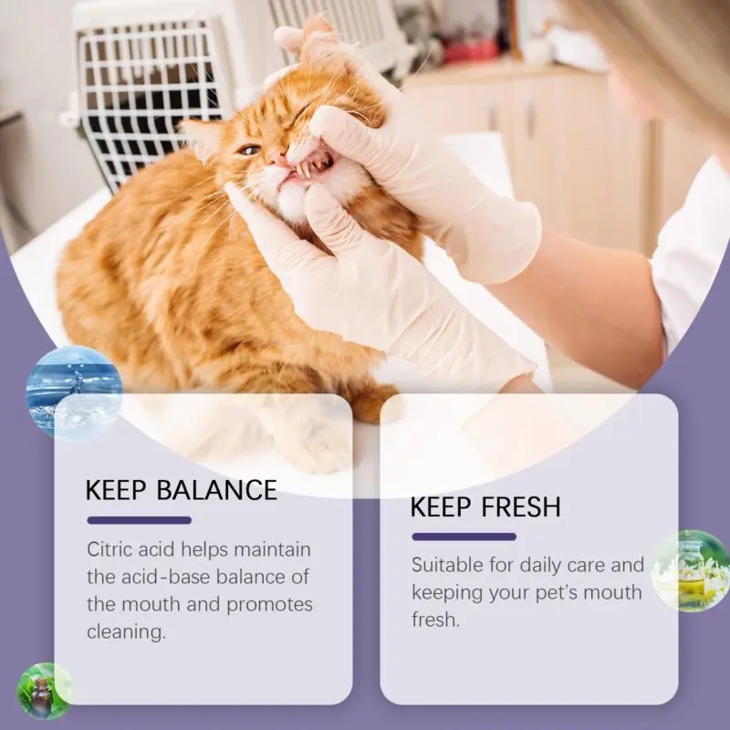 Yegbong Pet Oral Repair Gel - Tooth Stain Remover for Yellow Teeth, Daily Dental Care - Image 3
