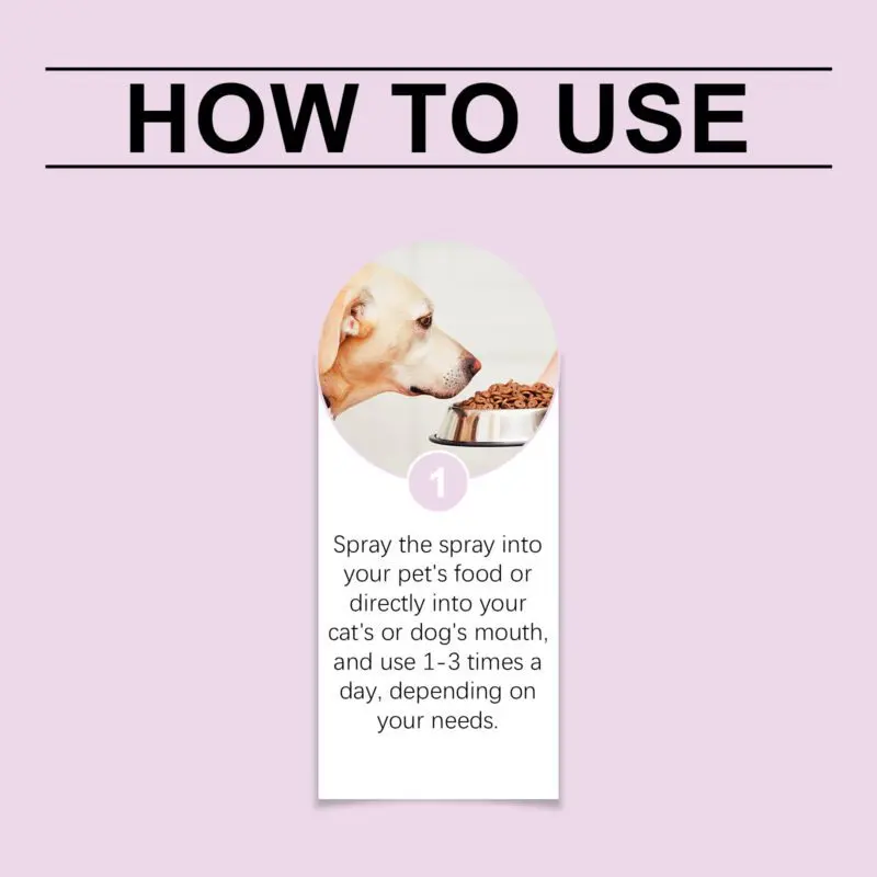 Yegbong Pet Tooth Spray for Dogs and Cats - Teeth Cleaning, Stain Removal & Brightening - Image 6