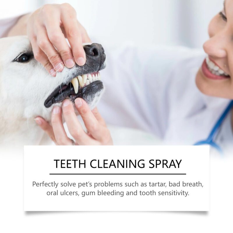 Yegbong Pet Breath Freshener Spray - Fights Bad Breath & Supports Pet Dental Health - Image 3