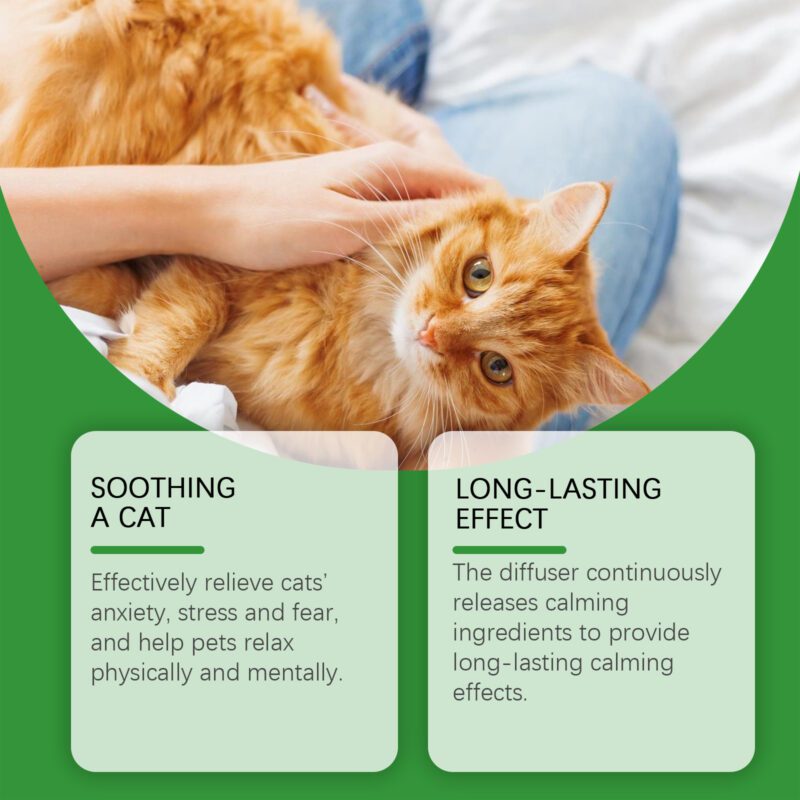 Yegbong Cat Calming & Comfort Care Set for Anxious Cats - Image 3