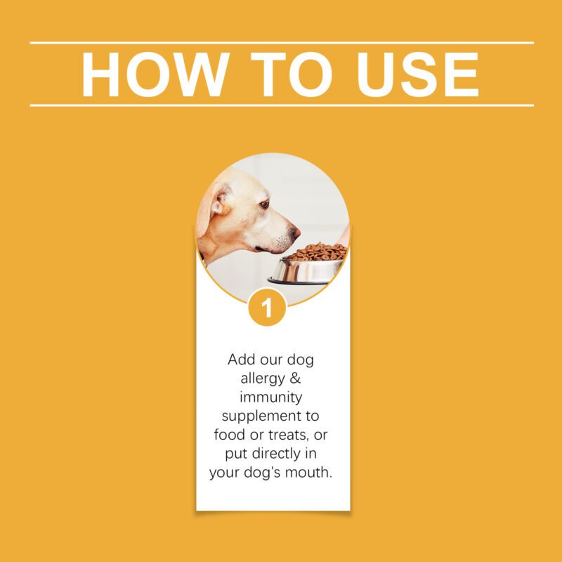 Yegbong Dog Allergy Support Drops - Nutritional Supplement for Canine Body Care - Image 6