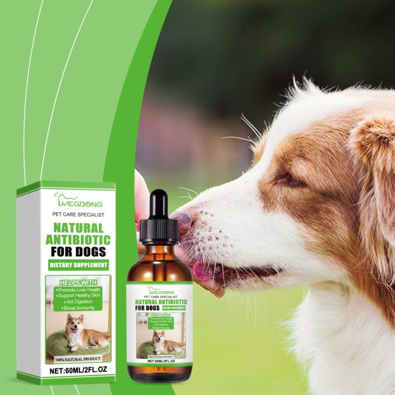 Yegbong Dog Dietary Supplements with Sorbitol and Erythritol for Daily Wellness - Image 2