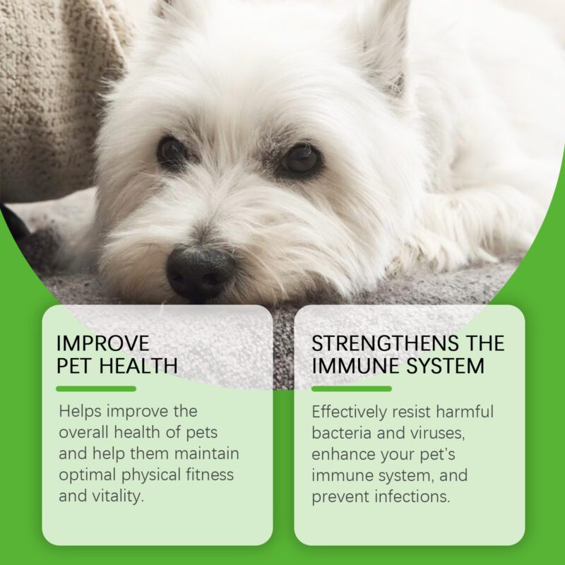 Yegbong Dog Dietary Supplements with Sorbitol and Erythritol for Daily Wellness - Image 3
