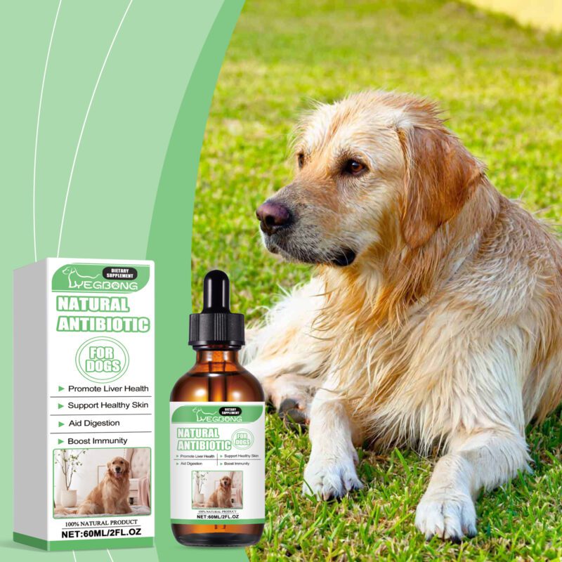 Yegbong Dog Supplement Drops for Healthy Skin, Digestion & Immune Support - Image 2