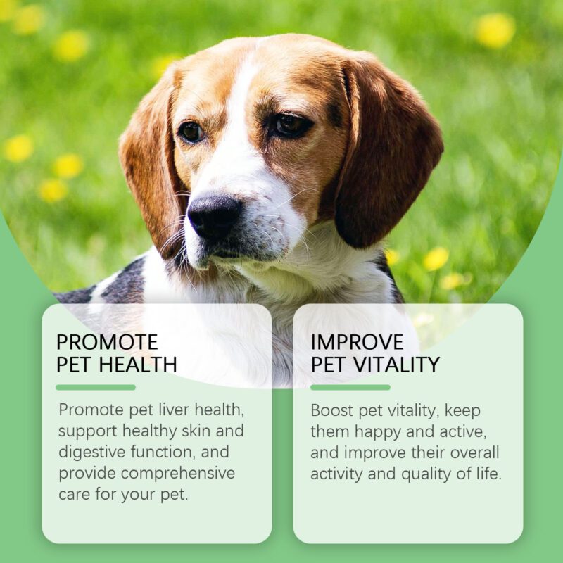 Yegbong Dog Supplement Drops for Healthy Skin, Digestion & Immune Support - Image 4