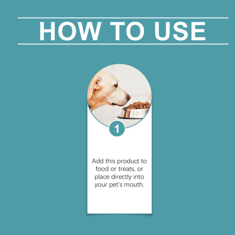 Yegbong Pet Daily Care Food Supplement: Support for Discomfort and Nutrition - Image 6