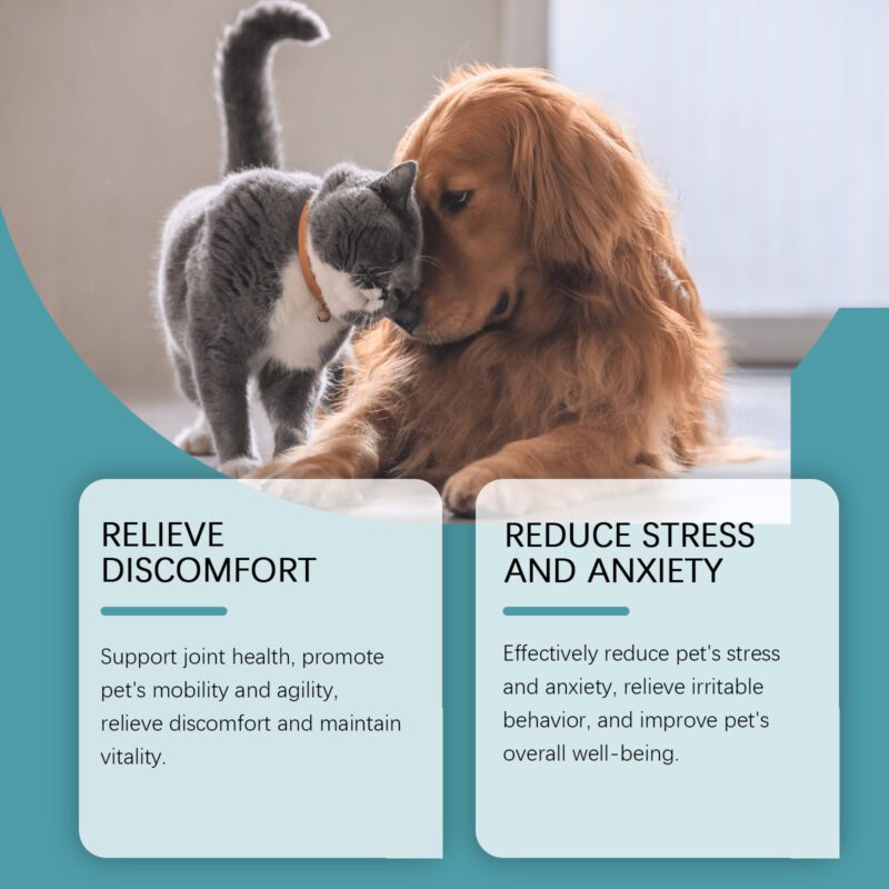 Yegbong Pet Daily Care Food Supplement: Support for Discomfort and Nutrition - Image 3