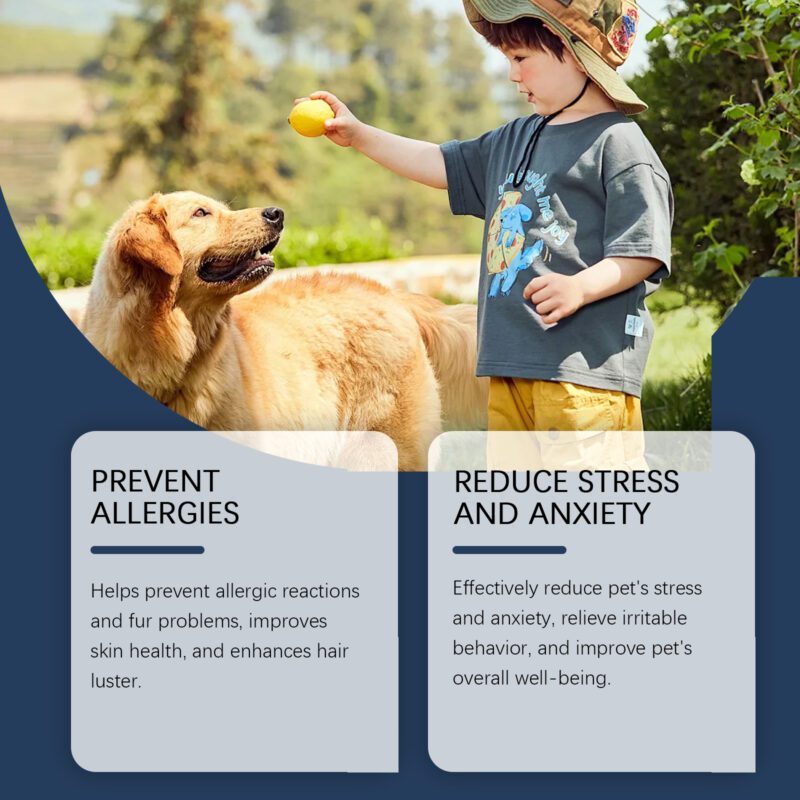 Yegbong Dog Food Supplement with Sorbitol and Erythritol for Canine Wellness - Image 3