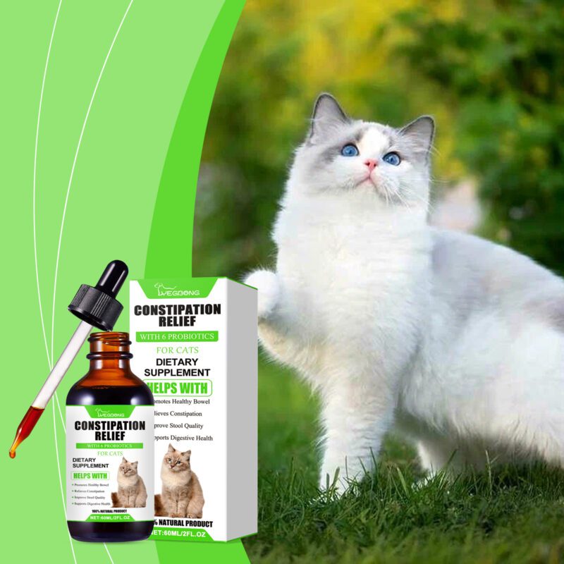 Yegbong Cat Probiotic Drops for Digestive Health, Vitality & Nutrient Absorption - Image 2