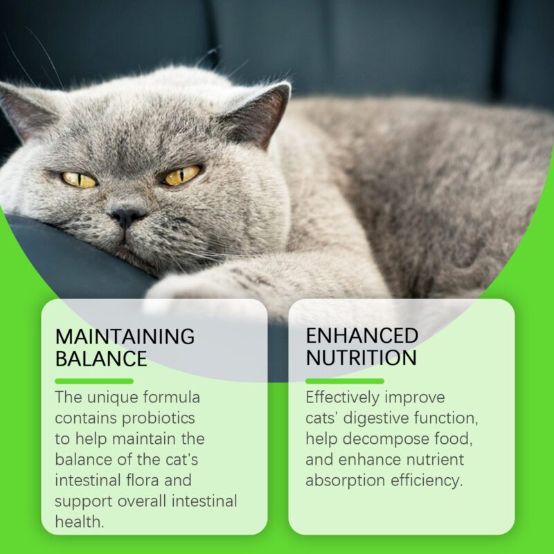 Yegbong Cat Probiotic Drops for Digestive Health, Vitality & Nutrient Absorption - Image 4