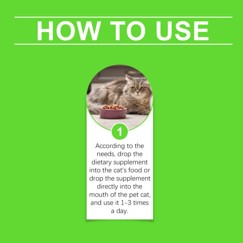 Yegbong Cat Probiotic Drops for Digestive Health, Vitality & Nutrient Absorption - Image 6
