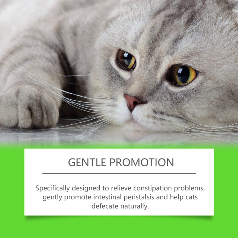 Yegbong Cat Probiotic Drops for Digestive Health, Vitality & Nutrient Absorption - Image 3