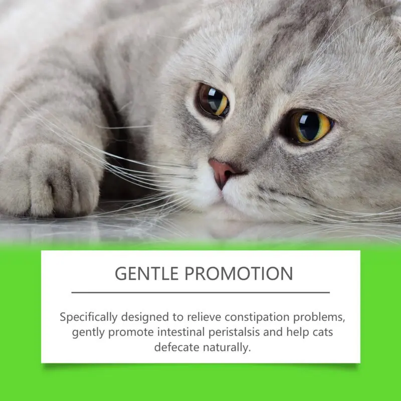 Yegbong Cat Probiotic Drops for Digestive Health, Vitality & Nutrient Absorption - Image 3