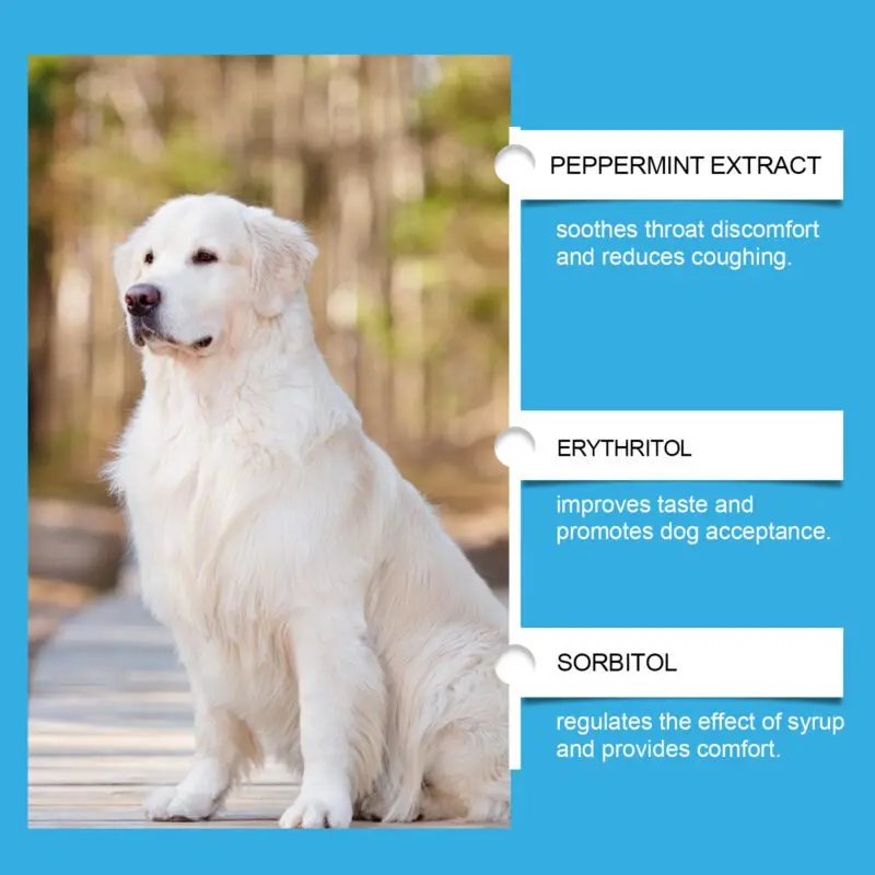 Yegbong Dog Health Syrup - Respiratory & Immune Support Supplement for Dogs - Image 4