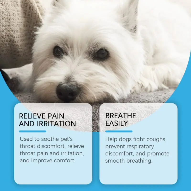 Yegbong Dog Health Syrup - Respiratory & Immune Support Supplement for Dogs - Image 3