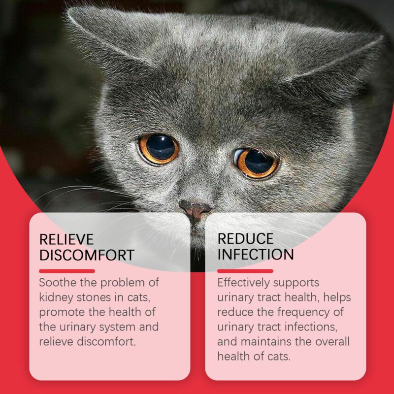 Yegbong Cat Urinary Health Supplement - Premium Dietary Support for Pets - Image 3