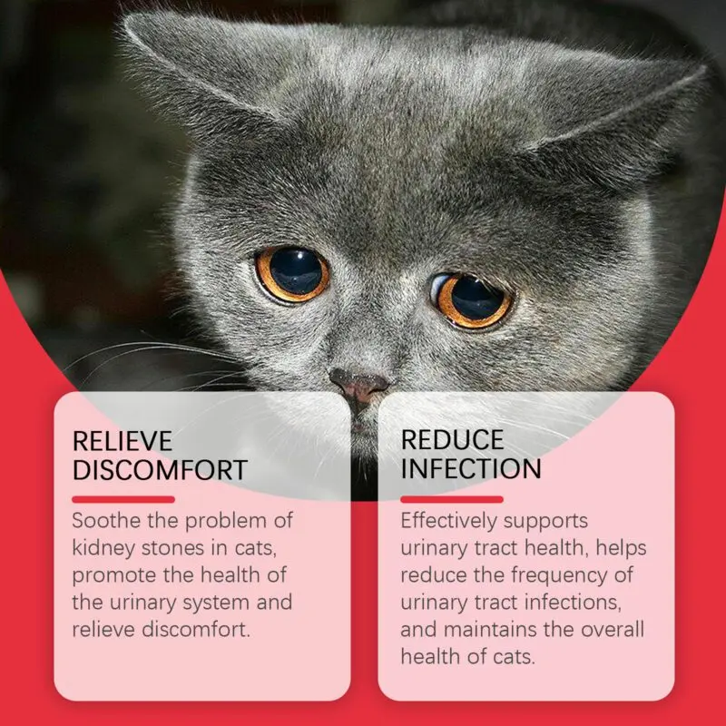 Yegbong Cat Urinary Health Supplement - Premium Dietary Support for Pets - Image 3