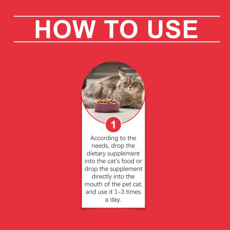 Yegbong Cat Urinary Health Supplement - Premium Dietary Support for Pets - Image 6
