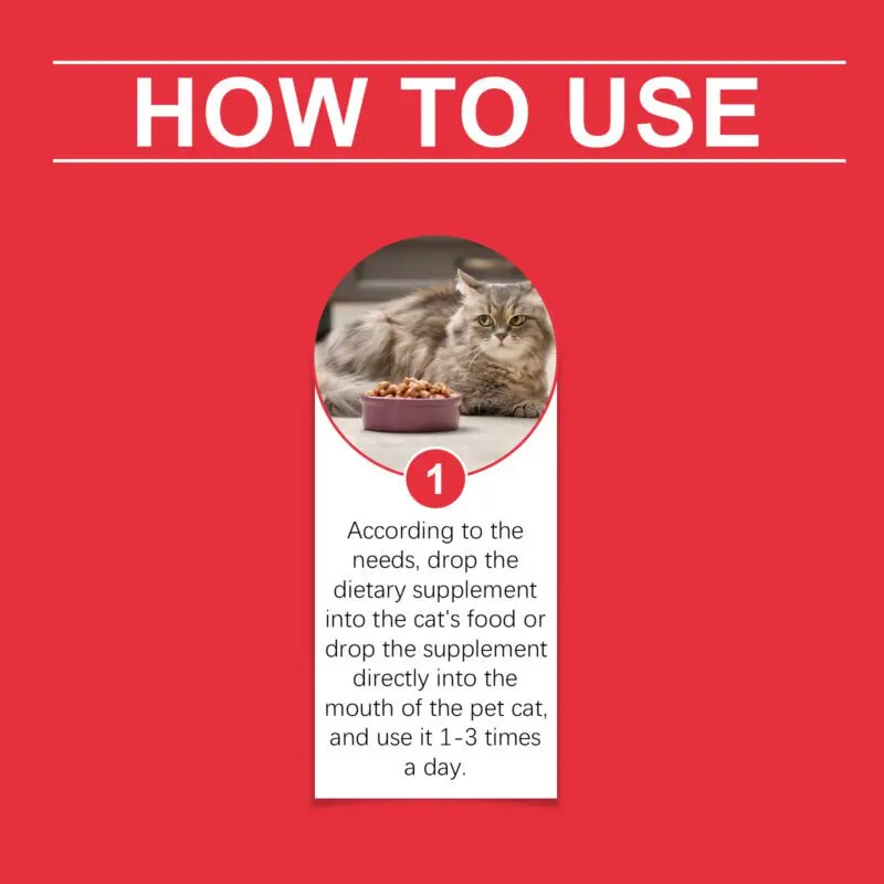 Yegbong Cat Urinary Health Supplement - Premium Dietary Support for Pets - Image 6