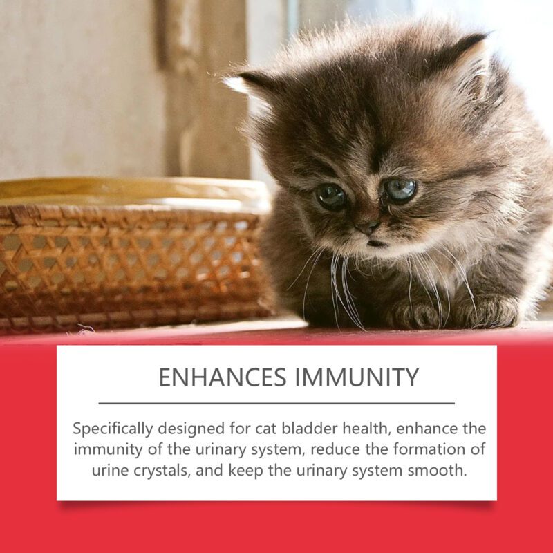 Yegbong Cat Urinary Health Supplement - Premium Dietary Support for Pets - Image 4