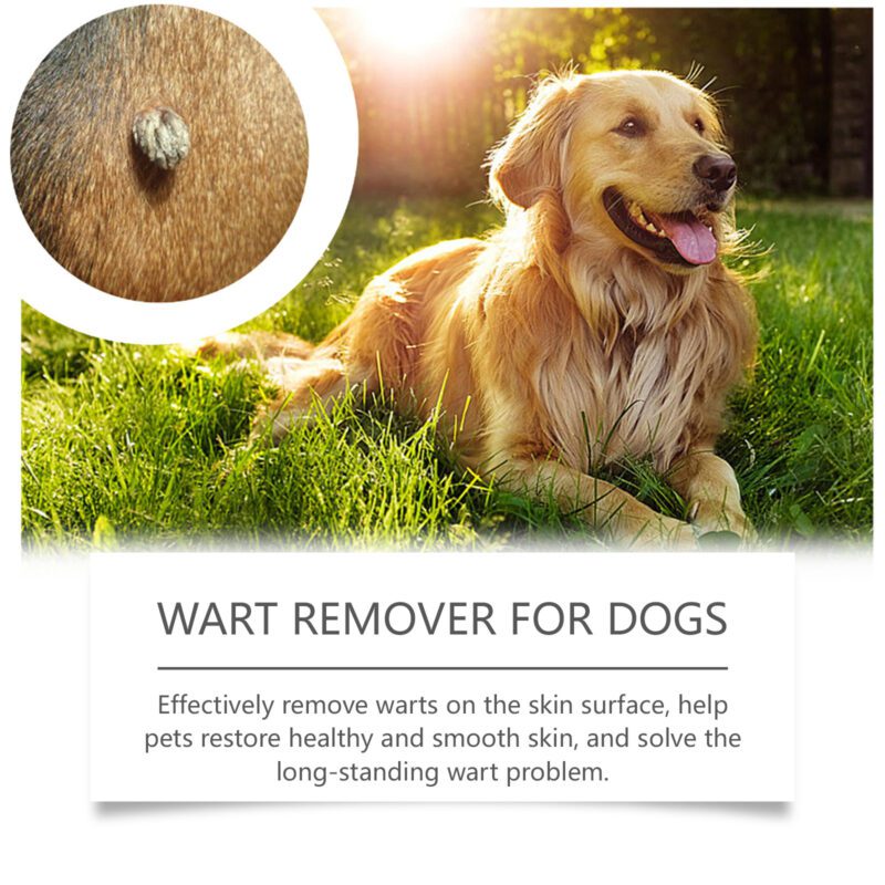 Yegbong Keyu Dog Skin Care Liquid: Gentle Cleanser for Daily External Use - Image 3
