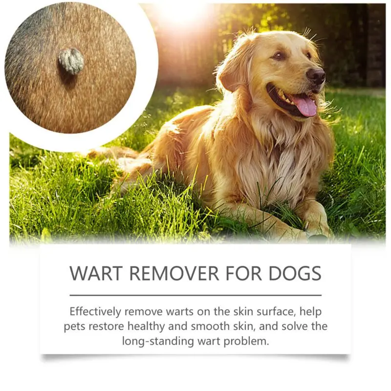 Yegbong Keyu Dog Skin Care Liquid: Gentle Cleanser for Daily External Use - Image 3