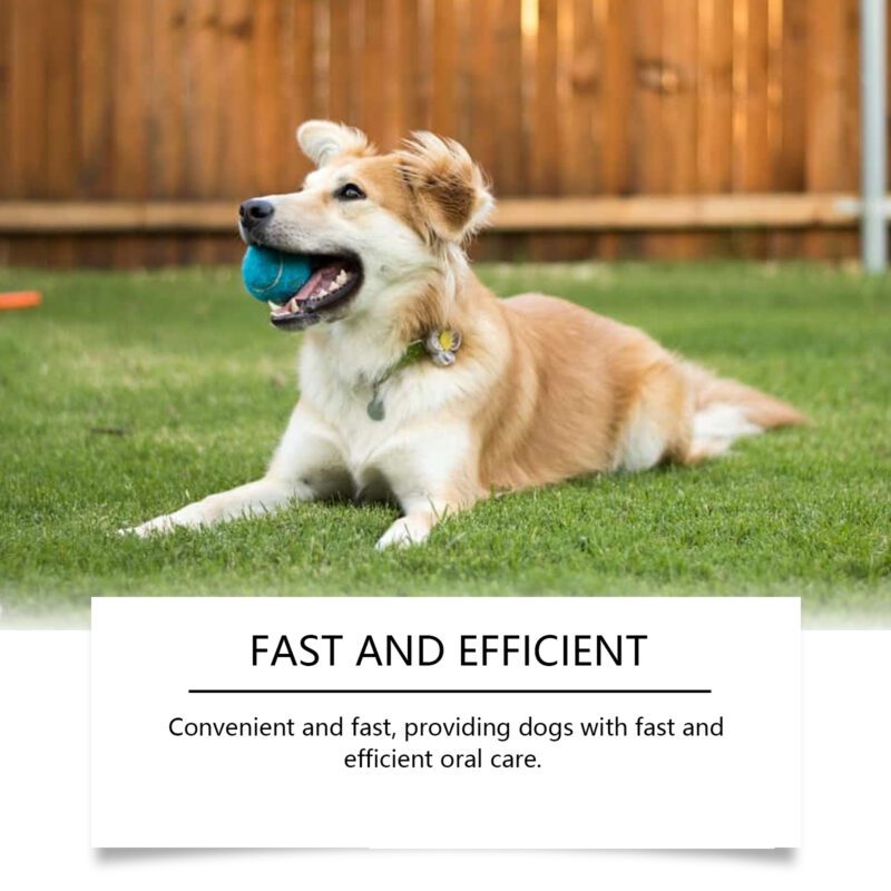 Yegbong Dog Dental Water Additive - Teeth Cleaning Aid, Tartar Control & Fresh Breath - Image 3