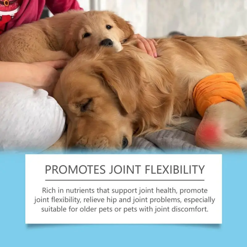 Yegbong Pet Immune Support Drops - Nutritional Supplement for Dogs & Cats - Image 4