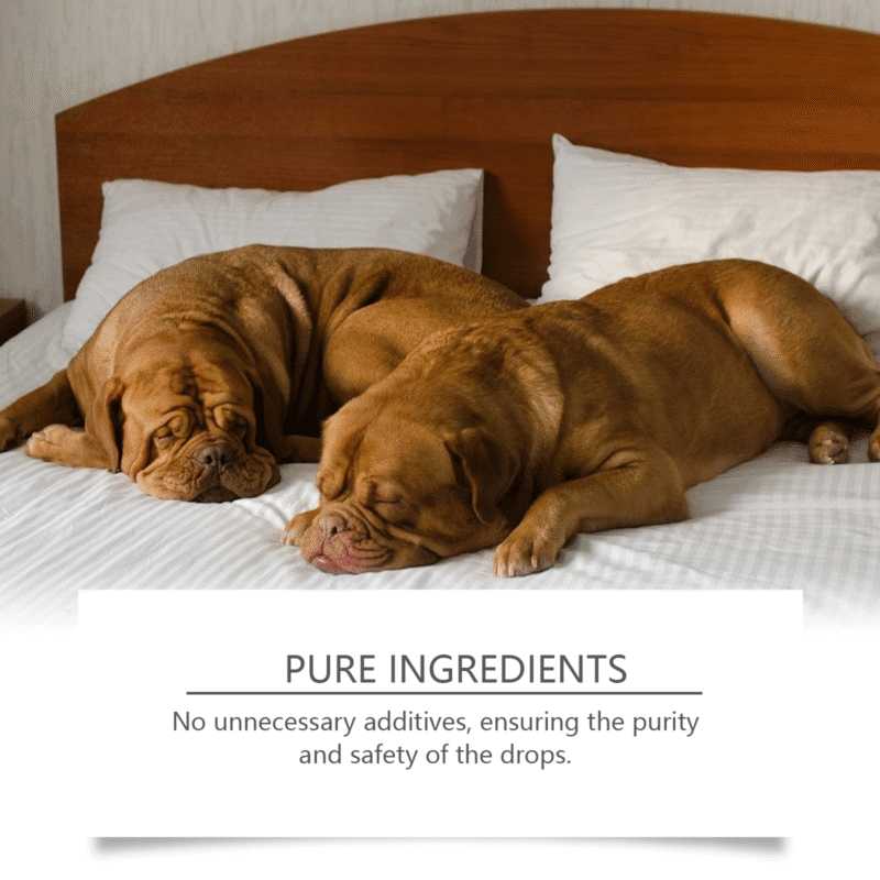 Yegbong Dog Calming Sleep Drops for Restless Pups - Pet Sleep Support Supplement - Image 4