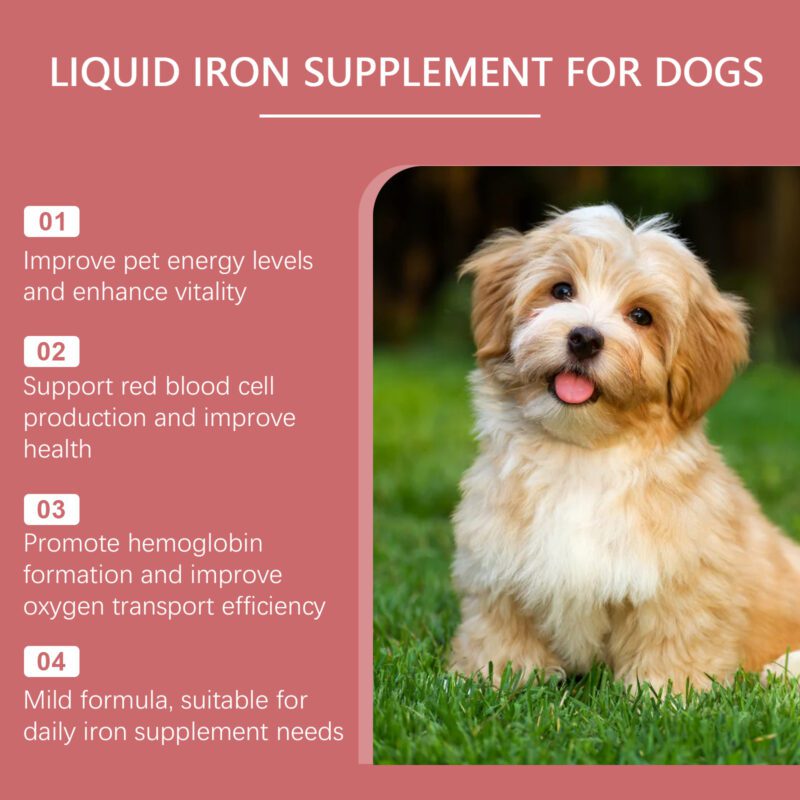 Yegbong Gentle Dog Syrup: Nourishing Formula with Mild Ingredients for Iron Absorption - Image 3