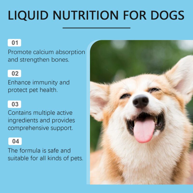 Yegbong Premium Pet Vitamin Drops - Daily Dietary Supplement for Dogs and Cats - Image 3