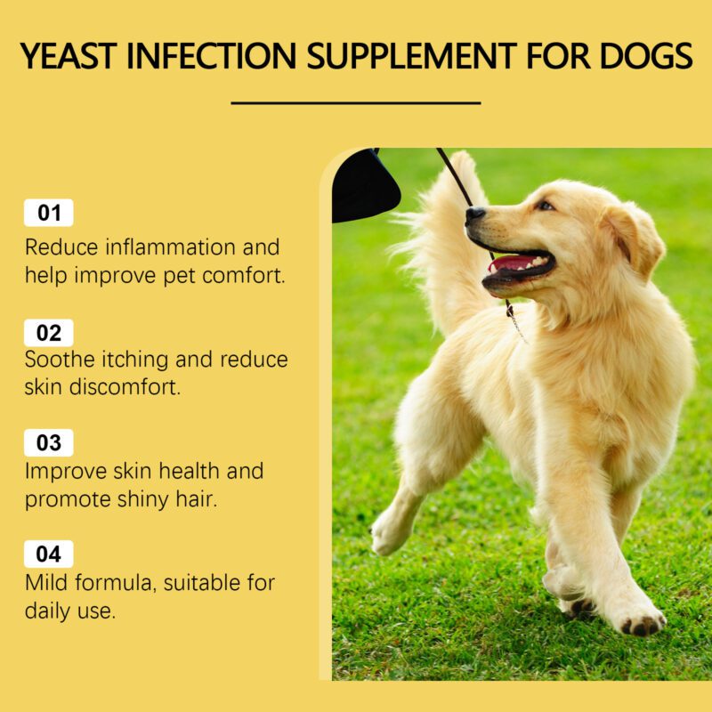 Yegbong Pet Herbal Yeast Supplement for Skin Care and Dermatological Relief - Image 3