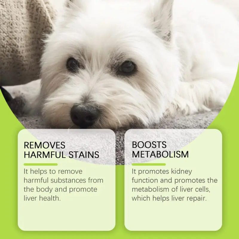Yegbong Premium Dog Care Drops with Sorbitol & Erythritol for Canine Wellness - Image 3