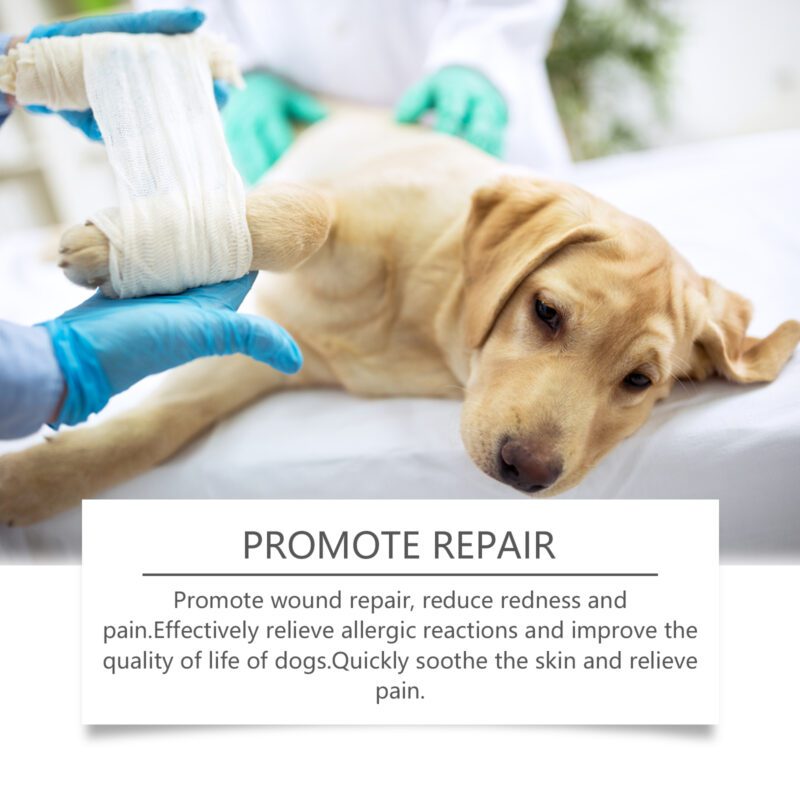 Yegbong Natural Plant Essence Dog Skin Care Spray - Gentle Cleansing & Soothing - Image 4