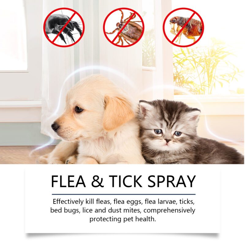 Yegbong Gentle Daily Insect Repellent Spray for Dogs and Cats - Hair & Skin Care - Image 3