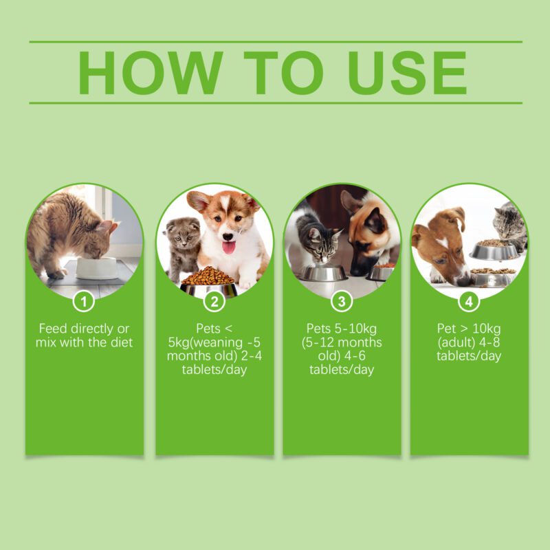 Yegbong Pet Probiotic Tablets for Cats & Dogs: Gut Health and Nutrient Absorption Support - Image 6