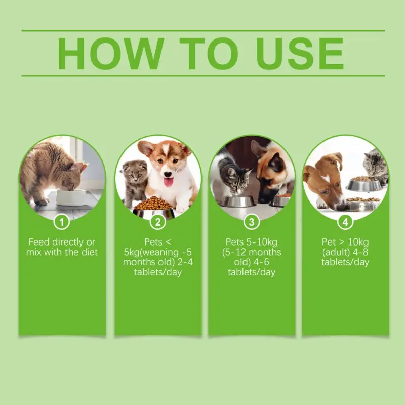 Yegbong Pet Probiotic Tablets for Cats & Dogs: Gut Health and Nutrient Absorption Support - Image 6