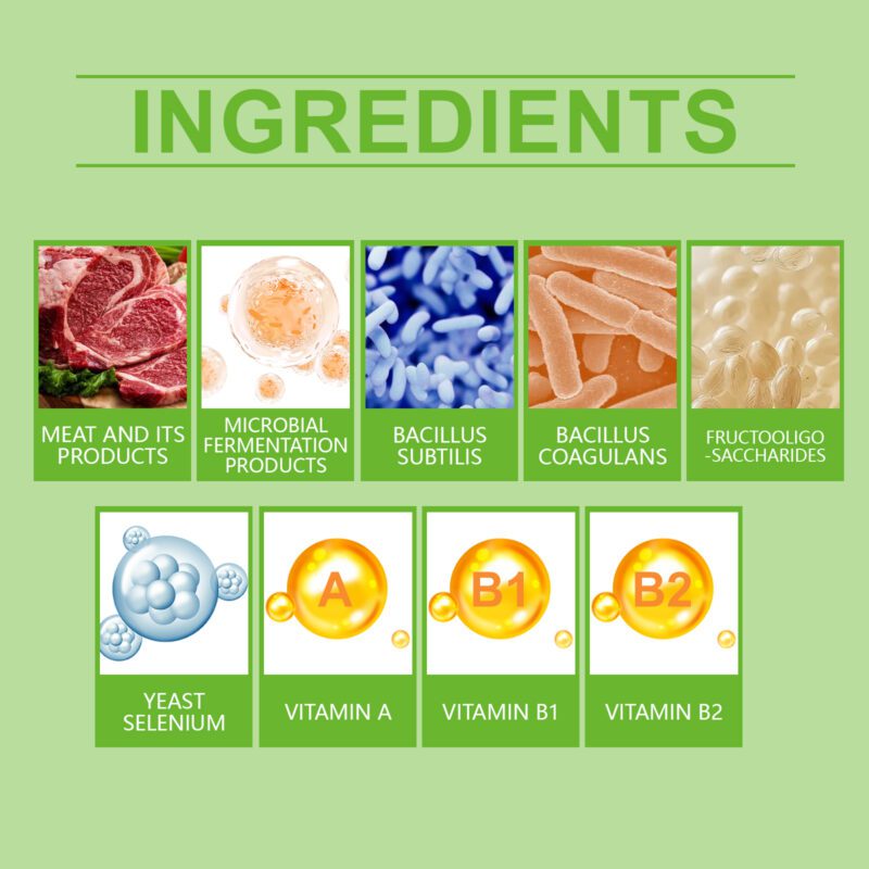 Yegbong Pet Probiotic Tablets for Cats & Dogs: Gut Health and Nutrient Absorption Support - Image 5