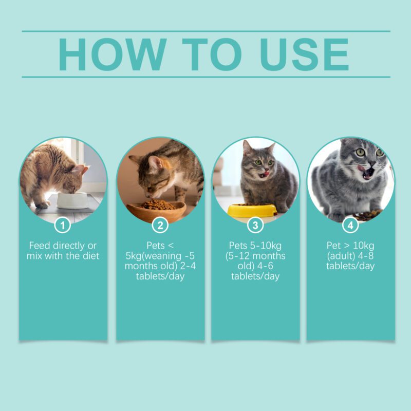 Yegbong Cat Probiotic Tablets: Digestive Health, Absorption & Immune Support - Image 6