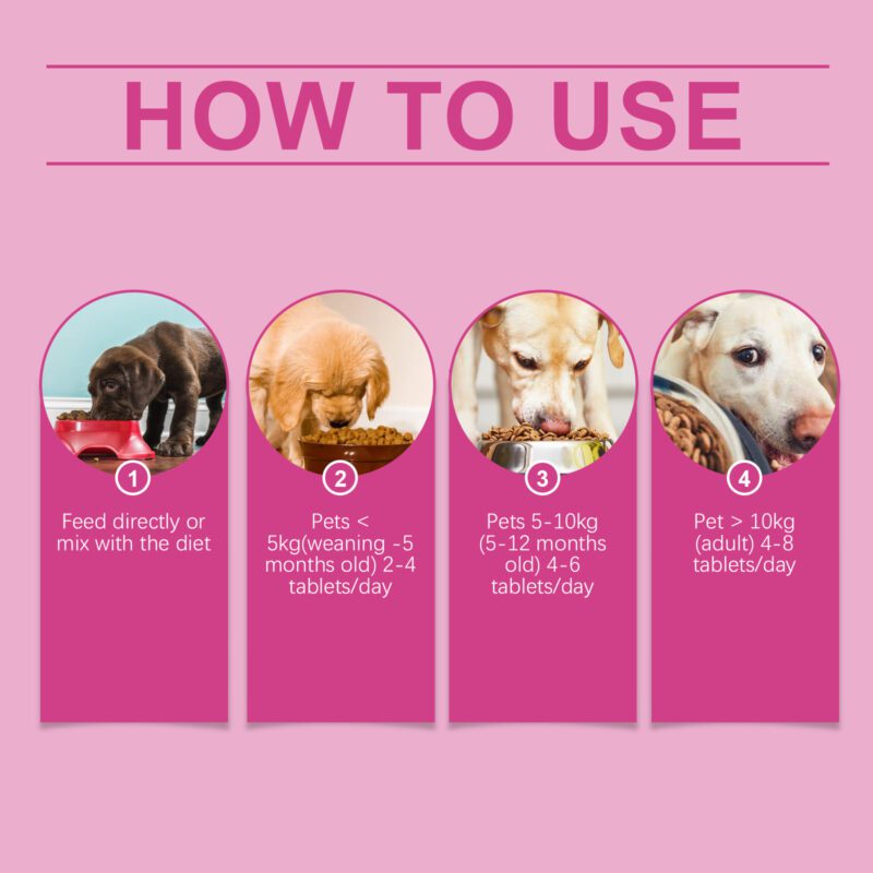 Yegbong Dog Probiotic Tablets for Healthy Gut, Digestion & Nutrient Absorption - Image 6
