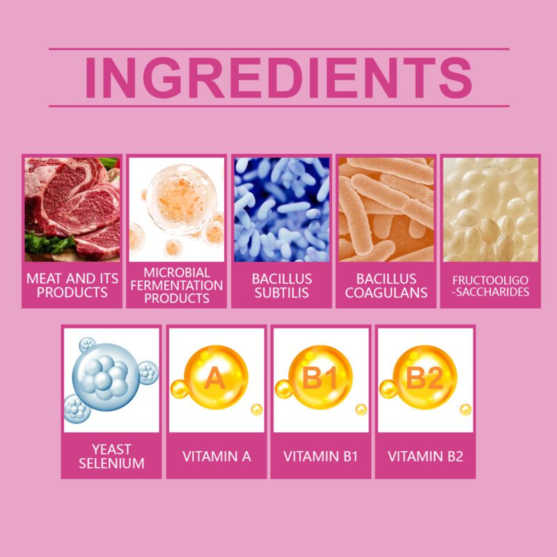 Yegbong Dog Probiotic Tablets for Healthy Gut, Digestion & Nutrient Absorption - Image 5
