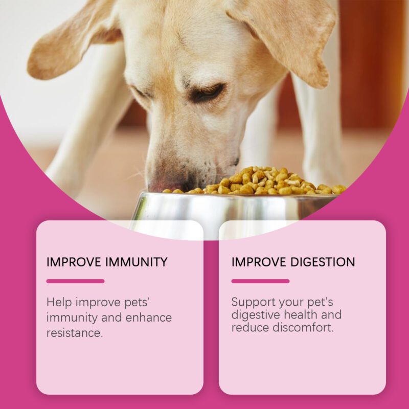 Yegbong Dog Probiotic Tablets for Healthy Gut, Digestion & Nutrient Absorption - Image 4